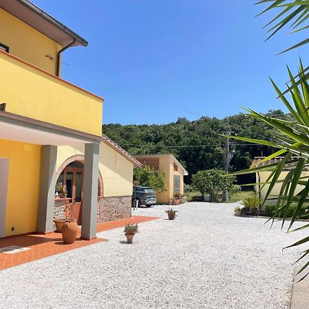 Il Leccio Agriturismo Fiorino エクステリア 写真