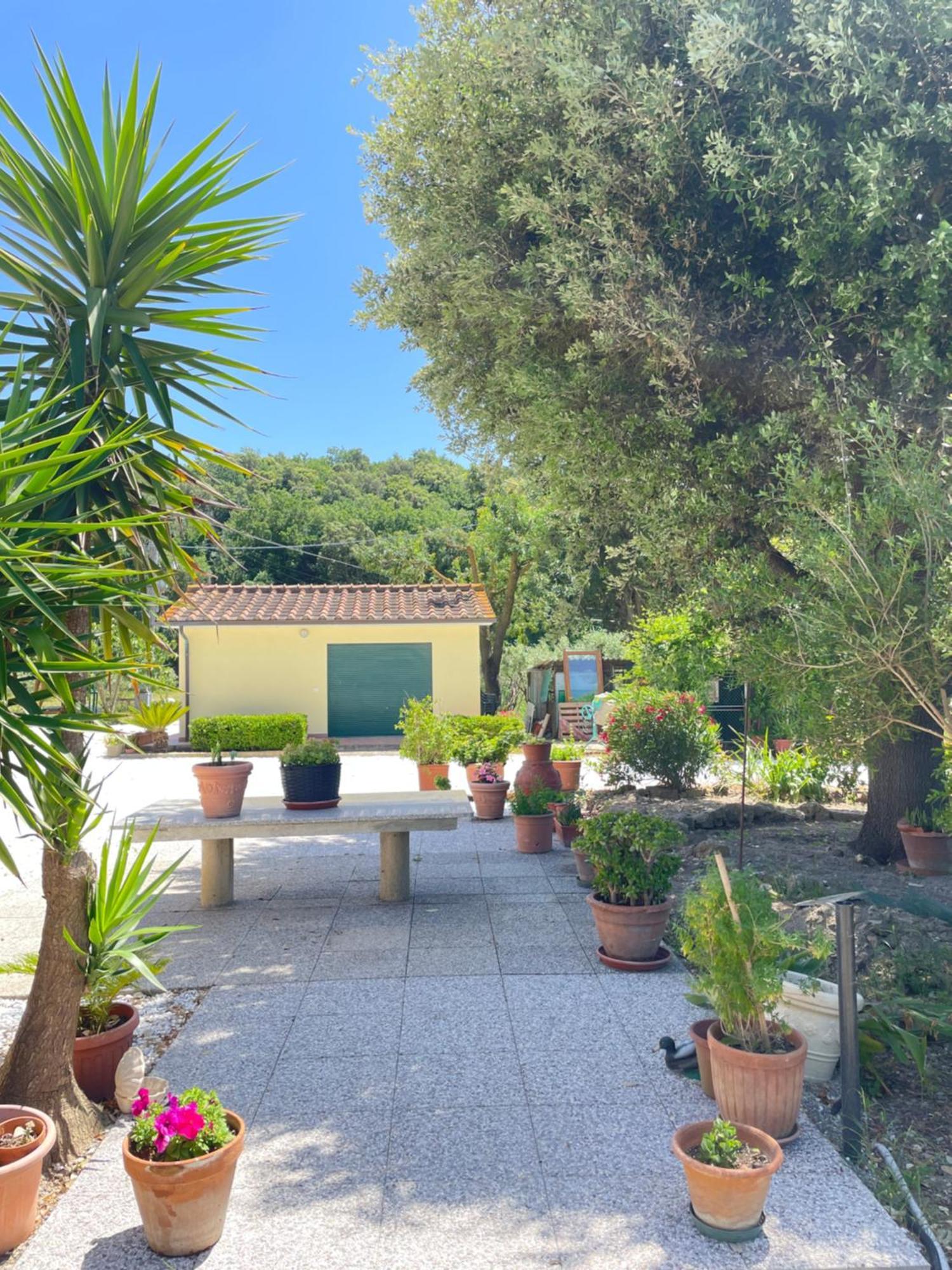 Il Leccio Agriturismo Fiorino エクステリア 写真