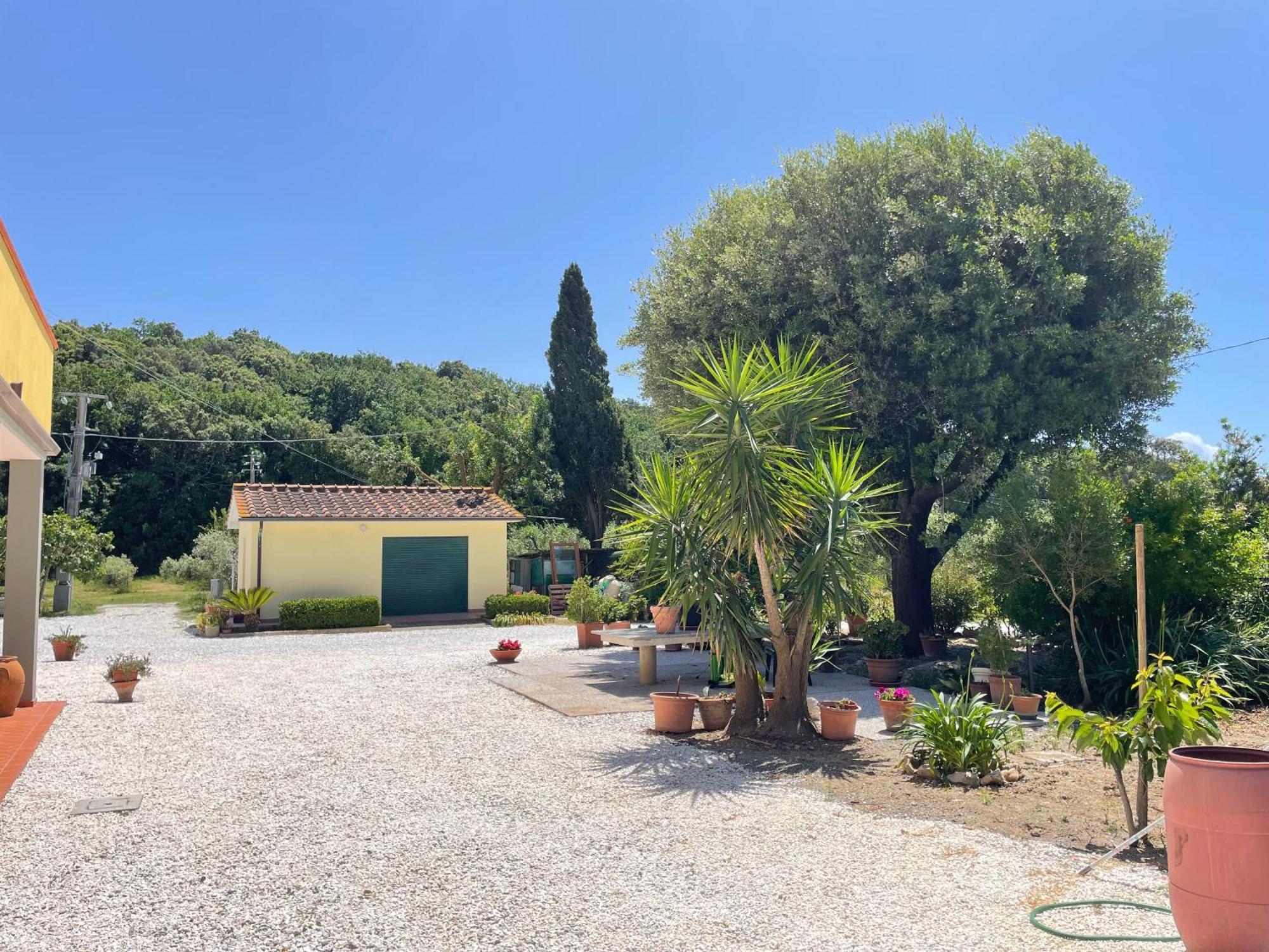 Il Leccio Agriturismo Fiorino エクステリア 写真