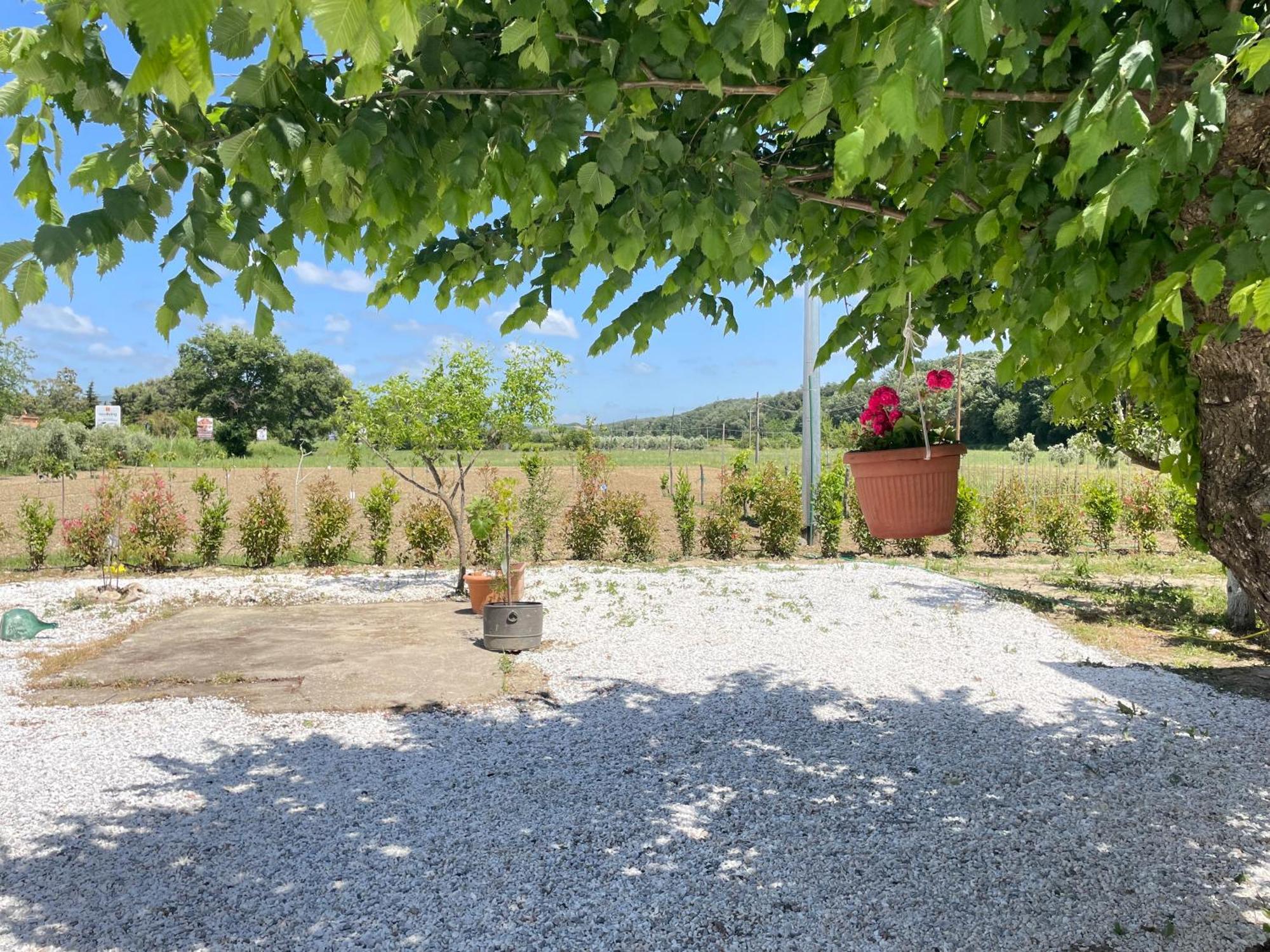 Il Leccio Agriturismo Fiorino エクステリア 写真