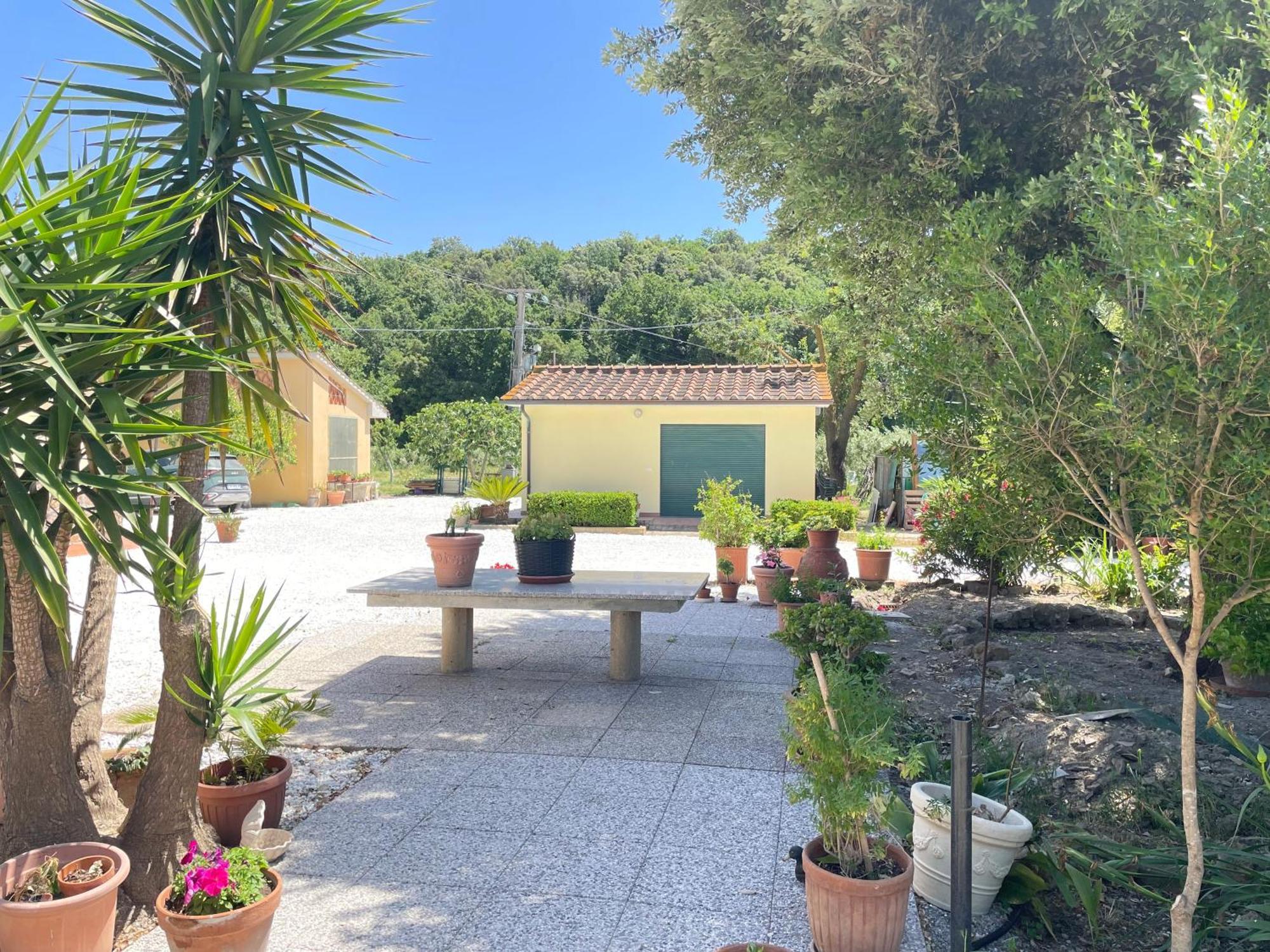 Il Leccio Agriturismo Fiorino エクステリア 写真