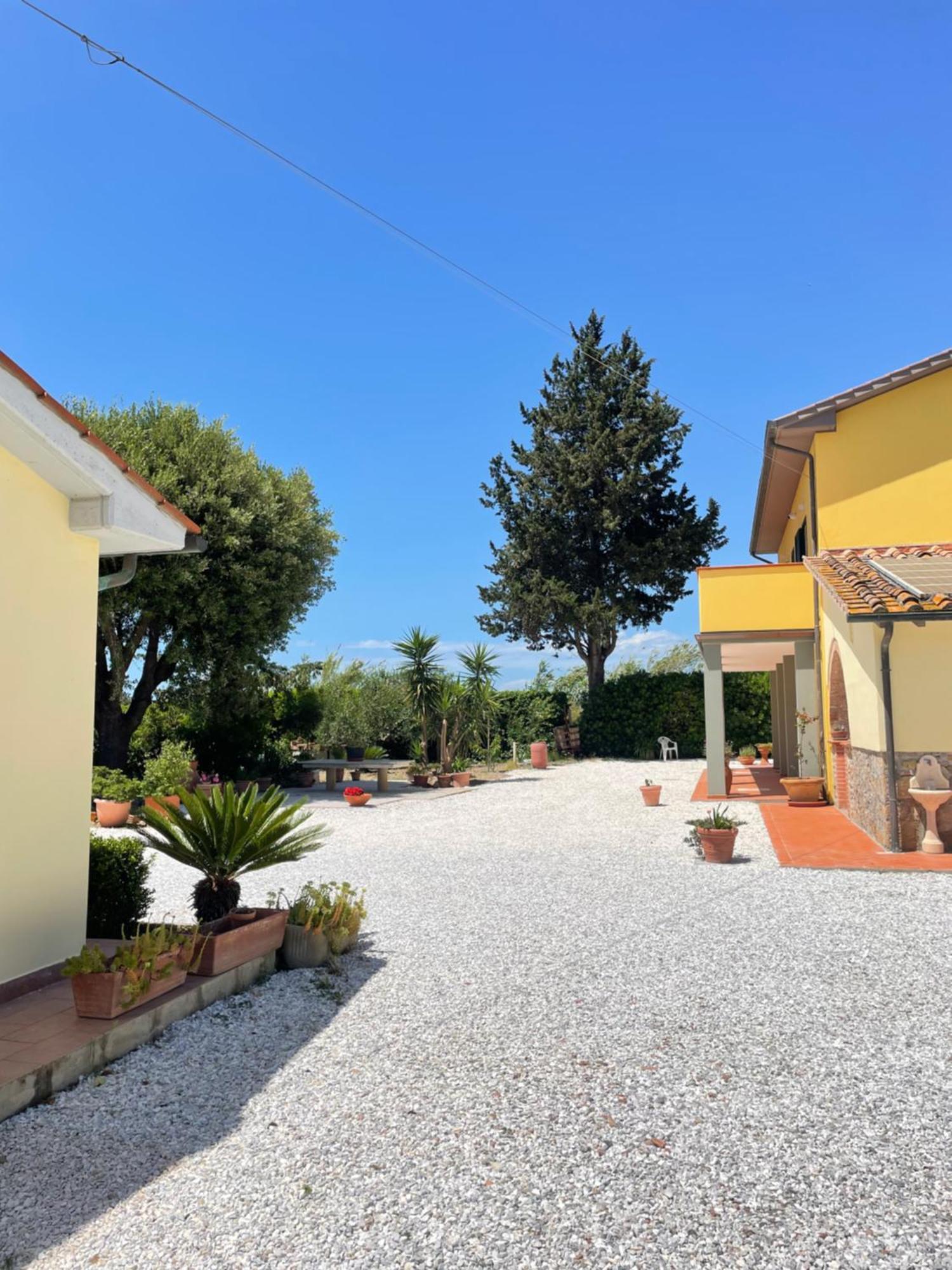 Il Leccio Agriturismo Fiorino エクステリア 写真