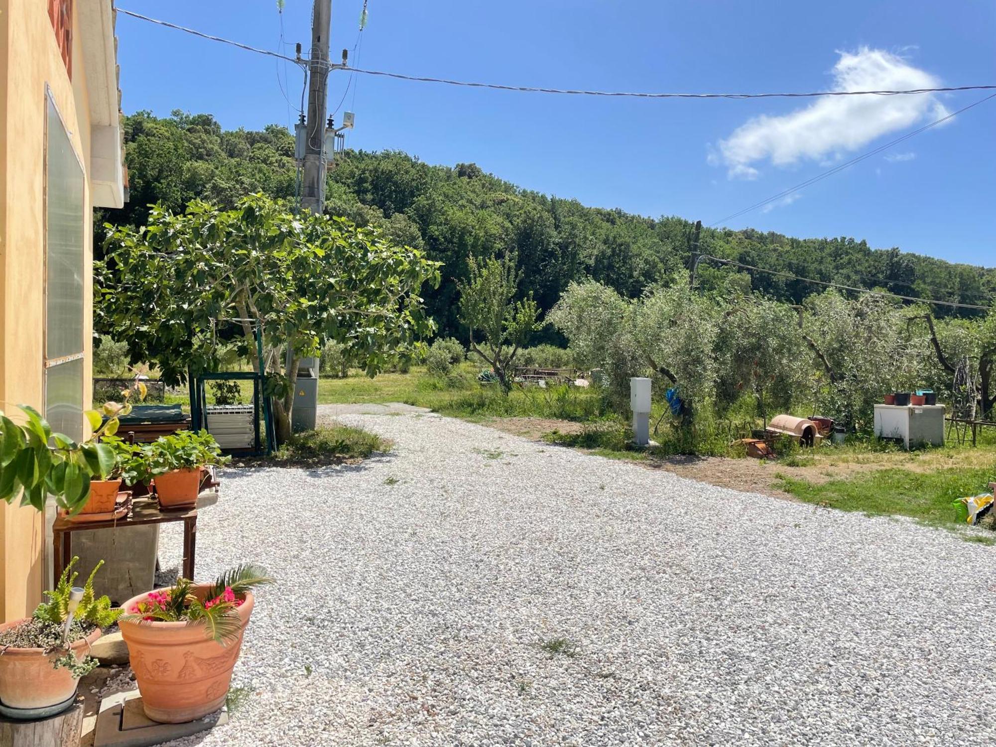 Il Leccio Agriturismo Fiorino エクステリア 写真