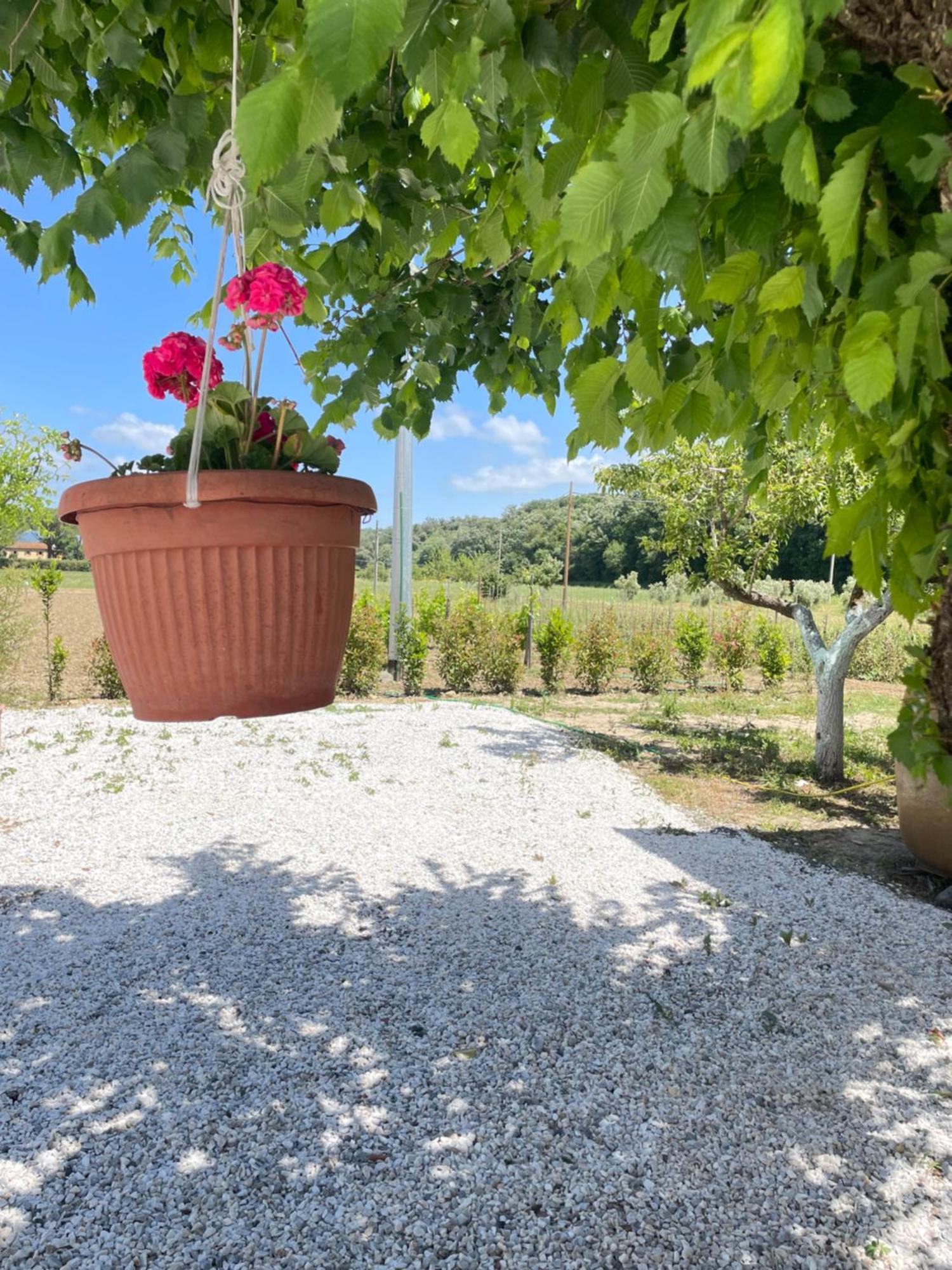 Il Leccio Agriturismo Fiorino エクステリア 写真