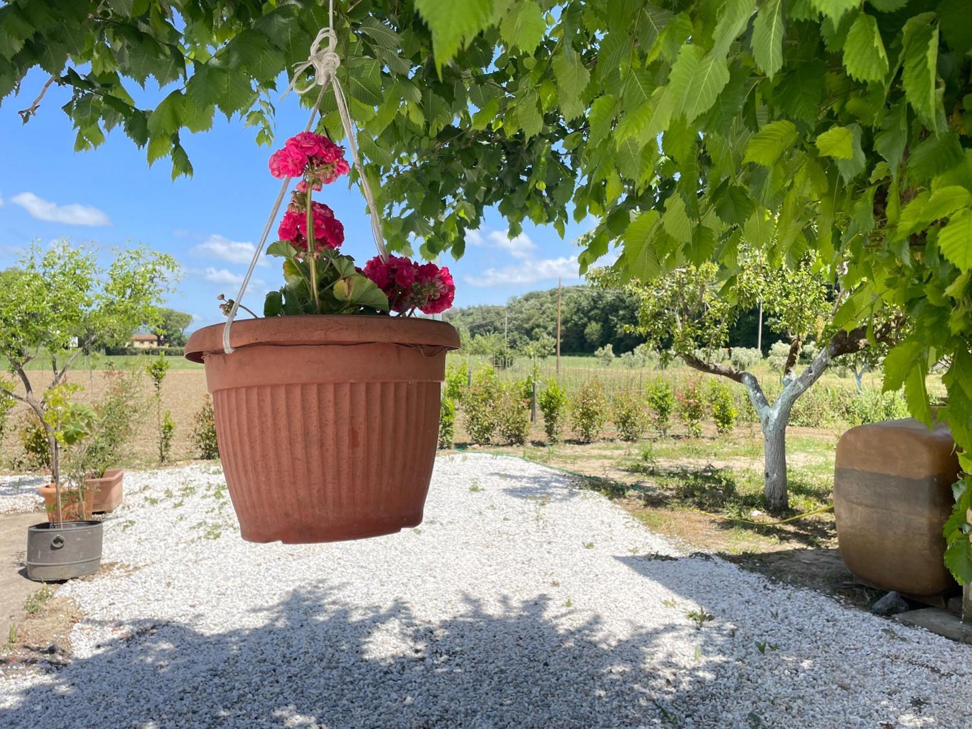 Il Leccio Agriturismo Fiorino エクステリア 写真