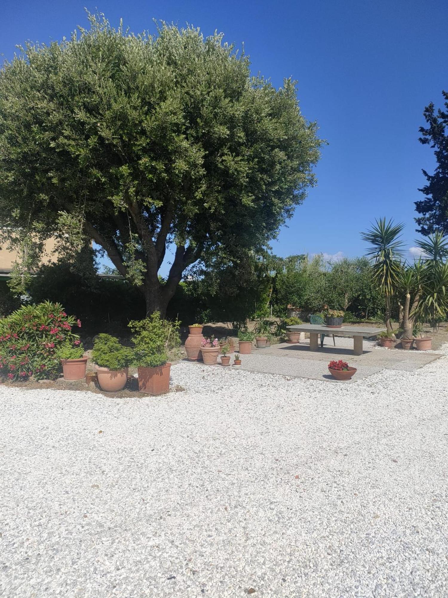 Il Leccio Agriturismo Fiorino エクステリア 写真