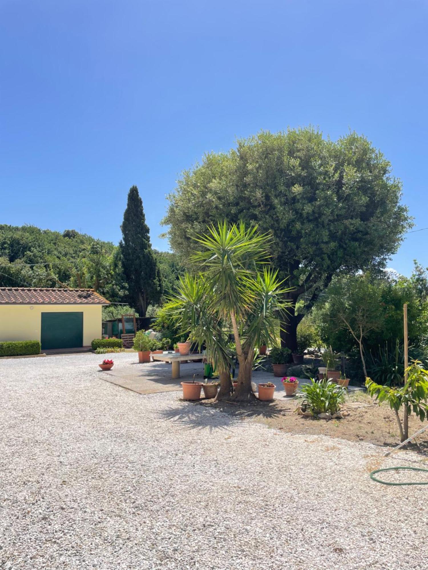 Il Leccio Agriturismo Fiorino エクステリア 写真