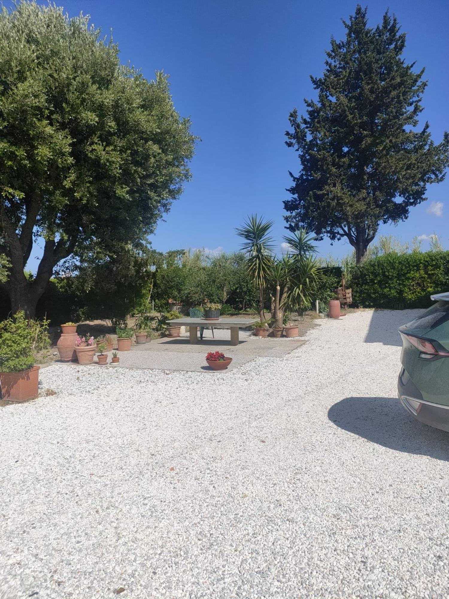 Il Leccio Agriturismo Fiorino エクステリア 写真