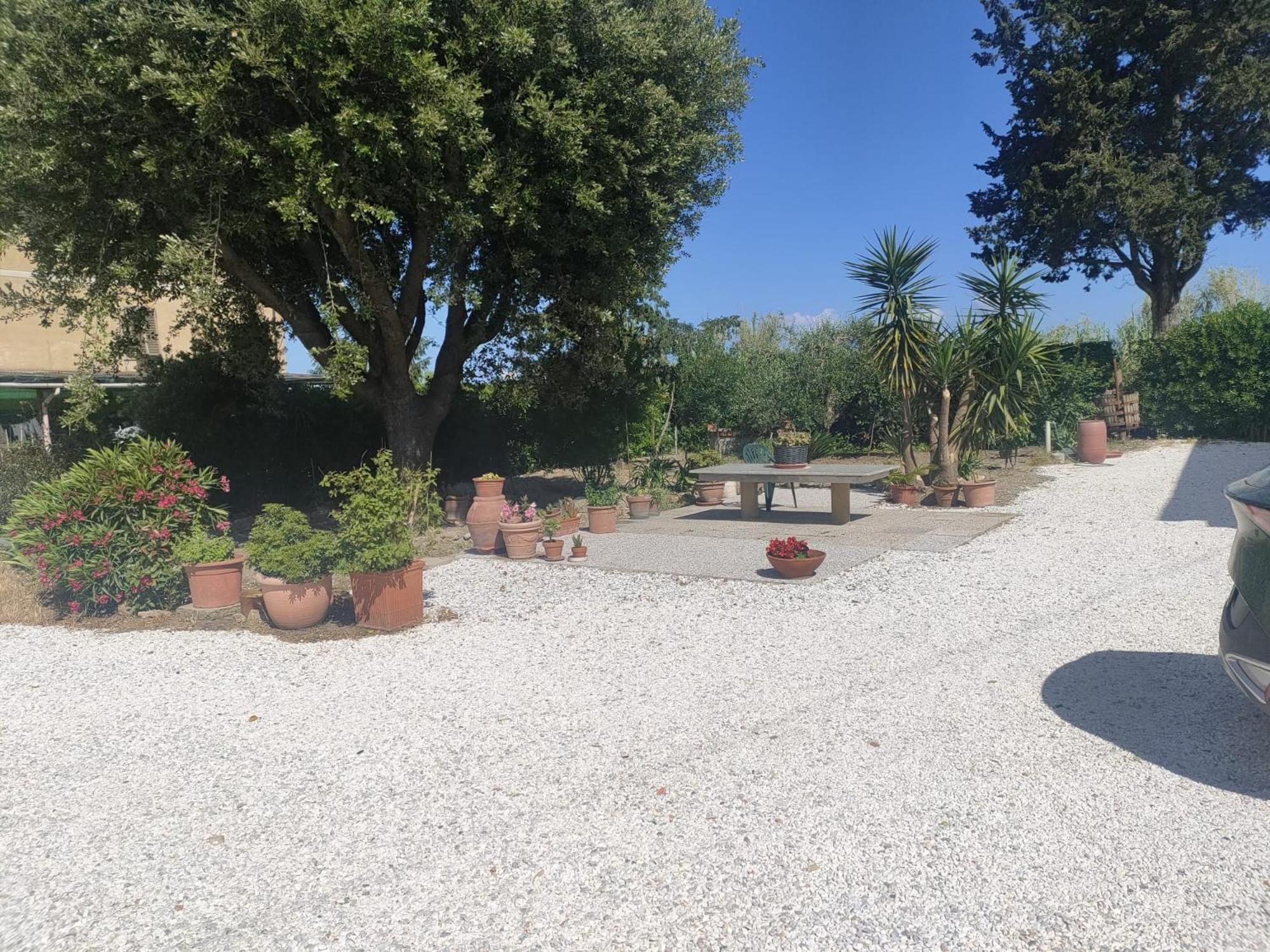 Il Leccio Agriturismo Fiorino エクステリア 写真