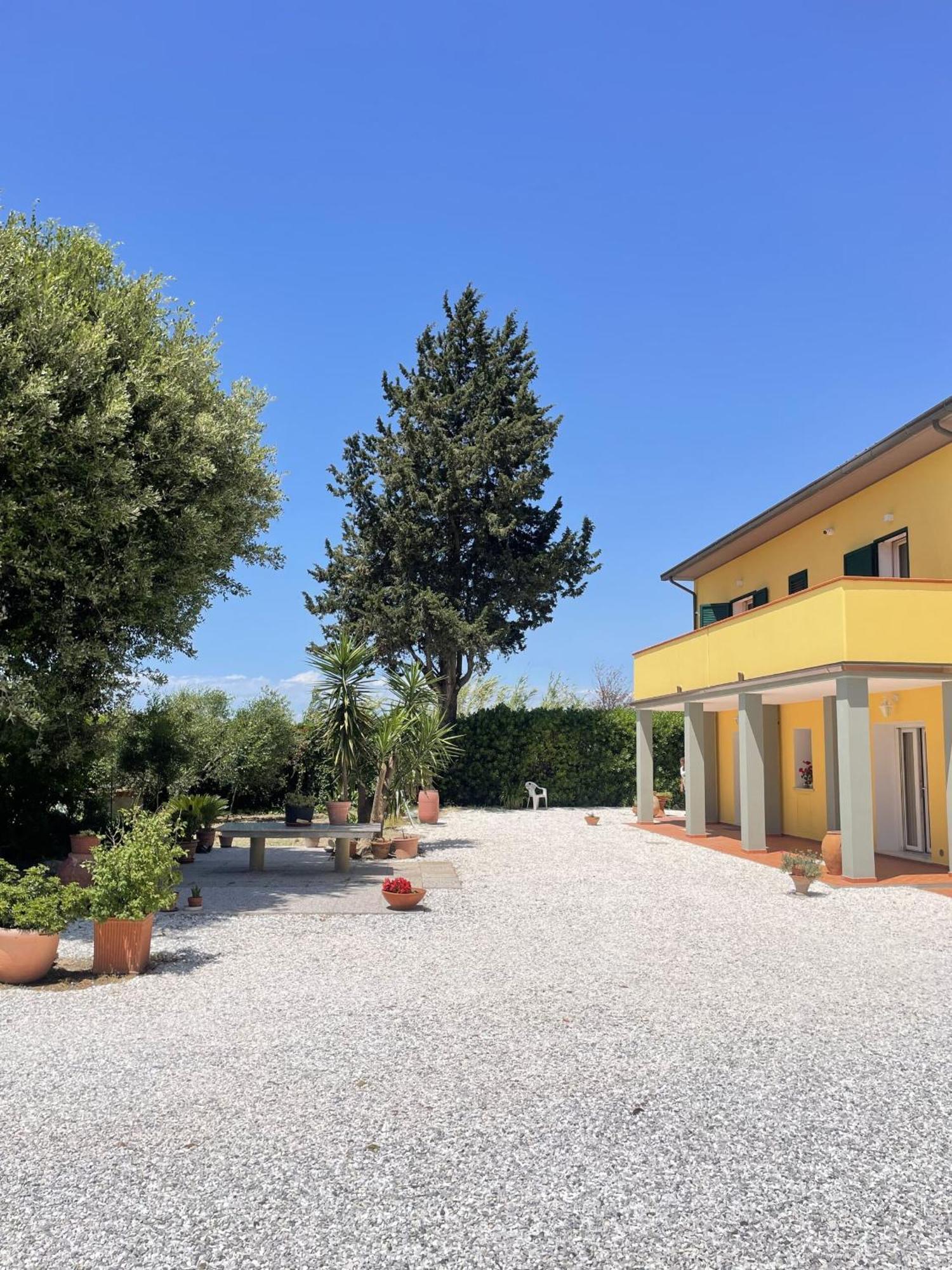 Il Leccio Agriturismo Fiorino エクステリア 写真