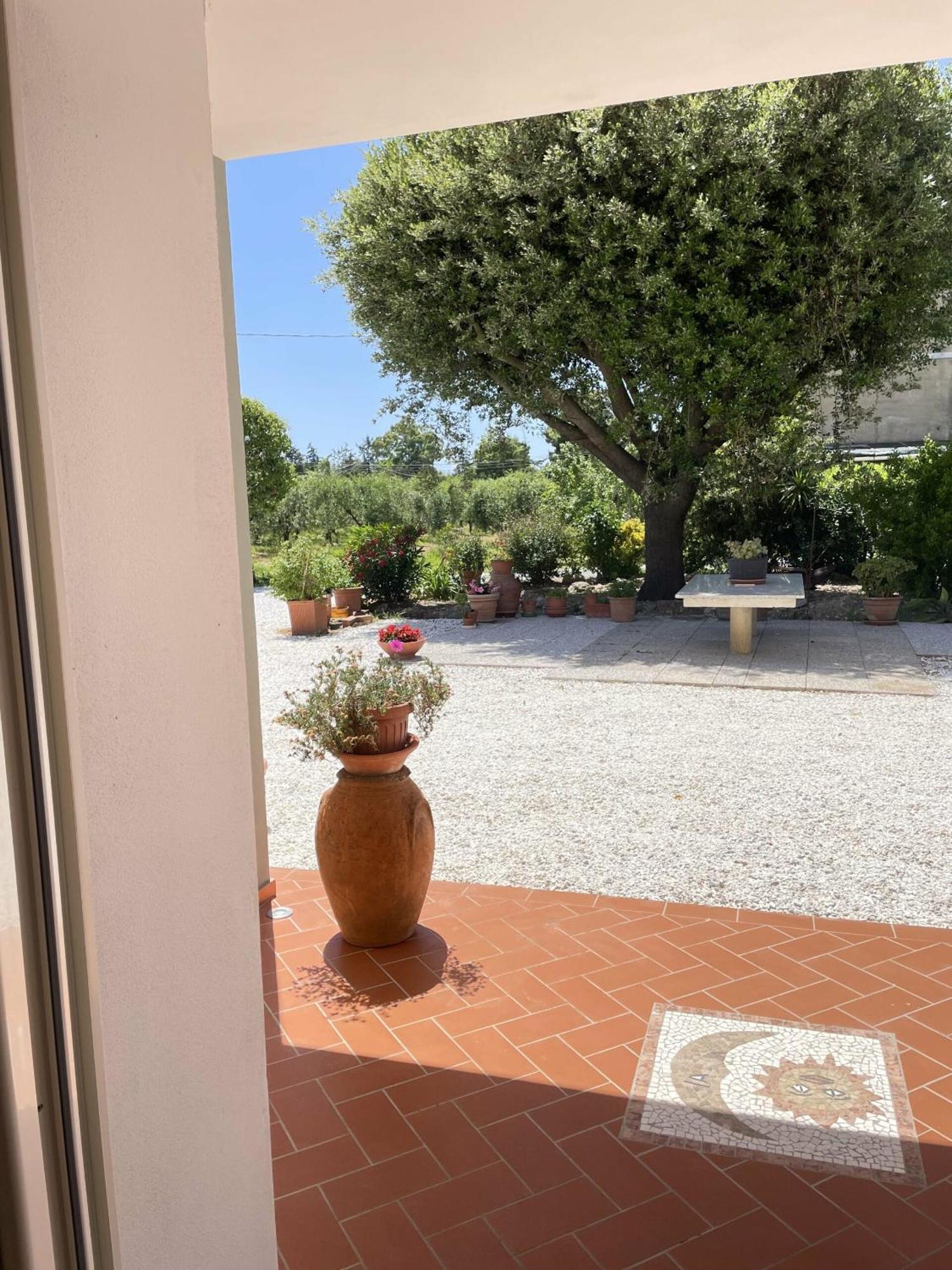 Il Leccio Agriturismo Fiorino エクステリア 写真